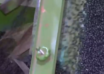 Entenda como pesquisadores têm ajudado o feijão brasileiro a ganhar espaço no exterior