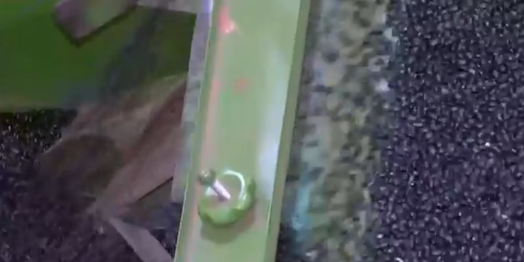 Entenda como pesquisadores têm ajudado o feijão brasileiro a ganhar espaço no exterior