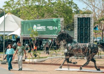 Agrotec movimenta primeiro dia com negócios, agricultura familiar e visitantes internacionais
