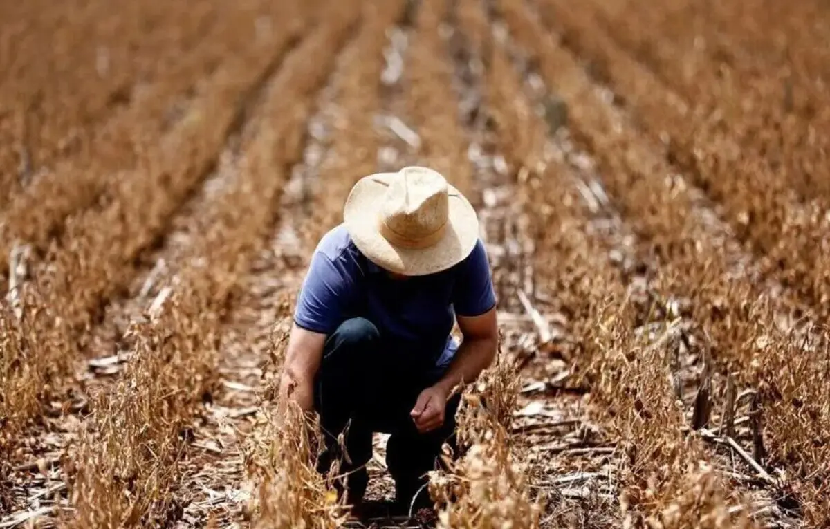 Agro pode estar deixando pior fase para trás, diz gestora