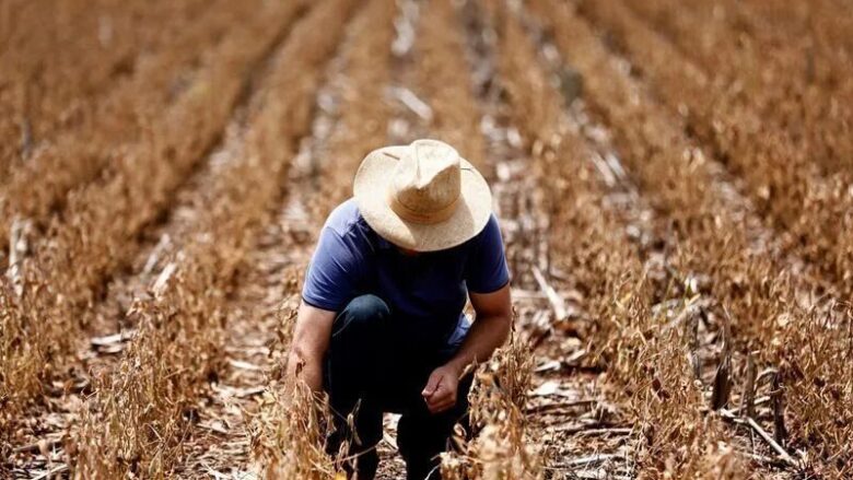 Agro pode estar deixando pior fase para trás, diz gestora