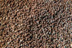 Associação defende novas medidas para ampliar produção de fertilizantes