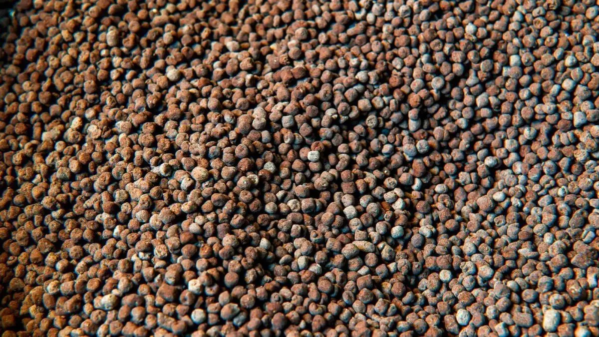 Associação defende novas medidas para ampliar produção de fertilizantes