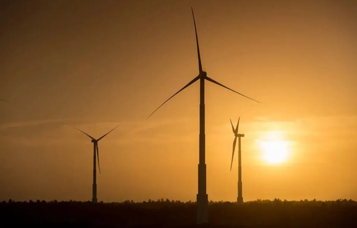 Cortes na geração de energia solar e eólica superam 60% em 1 a cada 5 dias