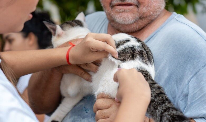 Dia D do "Setembro Caramelo" imuniza mais de 30 mil animais em Porto Velho