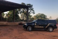 PF investiga uso de empresas e créditos florestais para "legalizar" madeira retirada ilegalmente