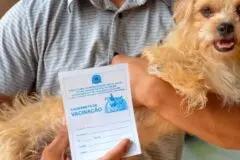 Prefeitura divulga os 102 pontos de vacinação antirrábica para o Dia D do "Setembro Caramelo"