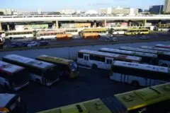 Presidente do TSE cobra dos TREs garantia de transporte público gratuito nas eleições