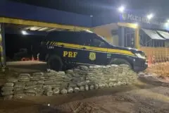PRF apreende mais de 200 kg de drogas e prende três pessoas na BR-364