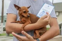 “Setembro Caramelo” terá Dia D de vacinação antirrábica em escolas da capital