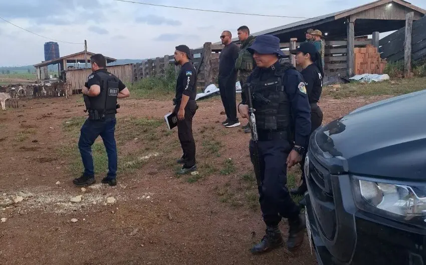 Arma, munições e anotações sobre madeira levam Polícia Civil a investigar crimes ambientais em Rondônia