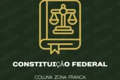 Coluna Zona Franca