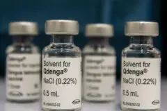 Dengue: 3 milhões de adolescentes estão com vacinação incompleta