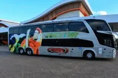 Eleitor pode viajar de graça para votar em outros municípios de Rondônia