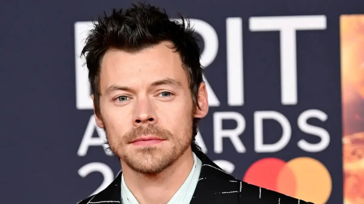 Fã revela o que aconteceu antes de confronto entre Harry Styles e caçador de autógrafos em Nova York Fã revela o que aconteceu antes de confronto entre Harry Styles e caçador de autógrafos em Nova York