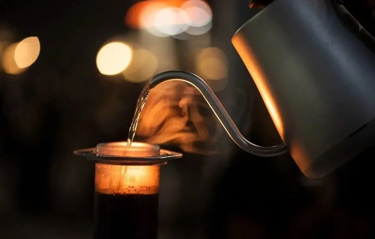 Gingeróis, fenólicos e aroma picante: a alquimia do café com especiarias