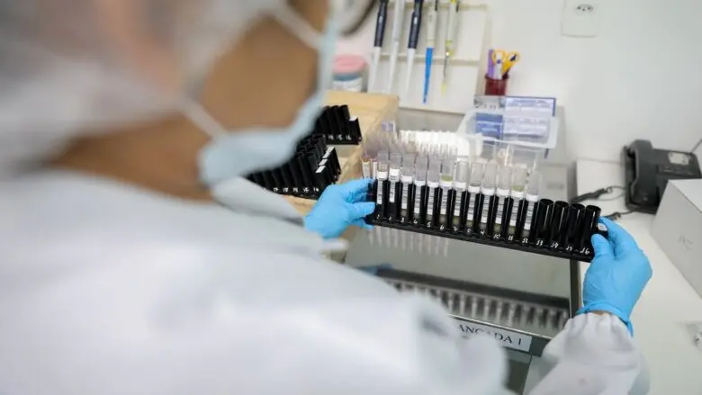 Malária: Anvisa autoriza teste em humanos de vacina 100% brasileira