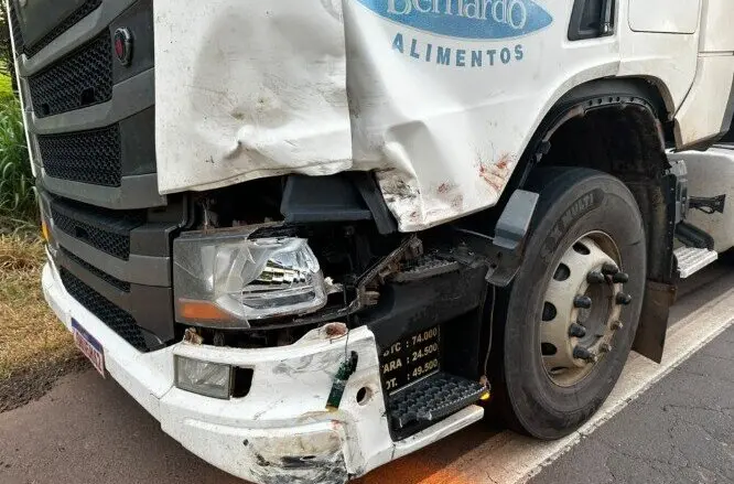 Motociclista morre em colisão frontal com bitrem na BR-364