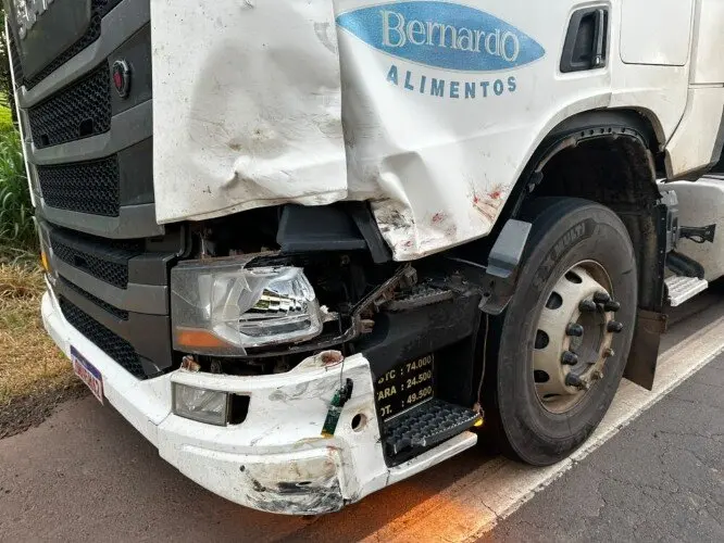 Motociclista morre em colisão frontal com bitrem na BR-364
