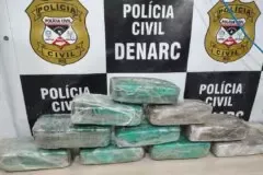 Operação do Denarc que mira o Comando Vermelho apreende 10 kg de skunk na zona sul