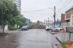 Período chuvoso aumenta alerta para risco de queda de árvores na capital
