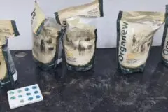 PF intercepta cerca de 80 kg de cocaína enviados pelos Correios de Rondônia para o Nordeste
