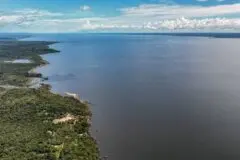 Planos de governo de Lula e Flávio Bolsonaro apresentam abordagens opostas para o meio ambiente e a crise climática