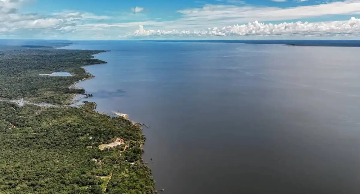 Planos de governo de Lula e Flávio Bolsonaro apresentam abordagens opostas para o meio ambiente e a crise climática