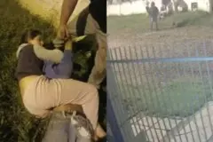 Vídeo: Jovem de 14 anos imobiliza suspeito de furto com mata-leão por 15 minutos após homem invadir casa em SC (Foto: Reprodução/ G1 Santa Catarina )